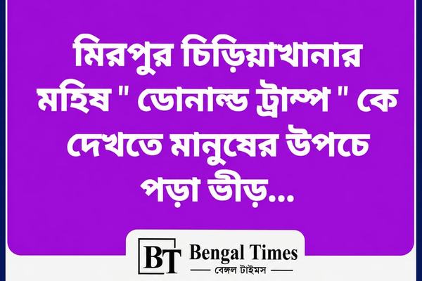মিরপুর চিড়িয়াখানার ‘ডোনাল্ড ট্রাম্প’ এখন দর্শনার্থীদের নতুন আকর্ষণভাইরাল মহিষকে দেখতে ঈদের ছুটিতে উপচে পড়া ভিড়।